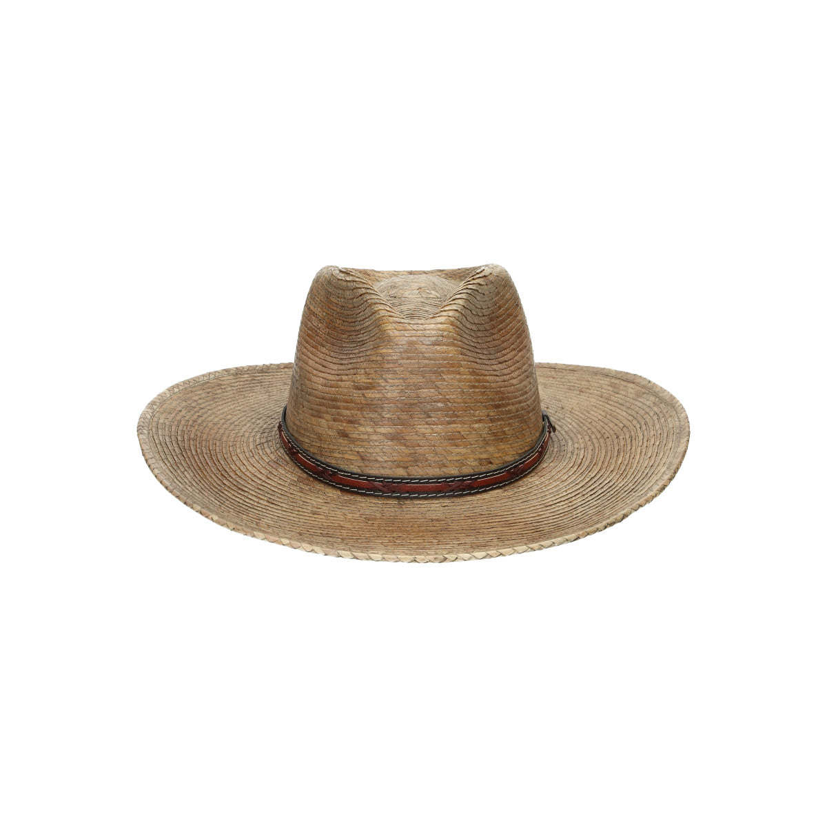 Western Mexican Palm beige brown