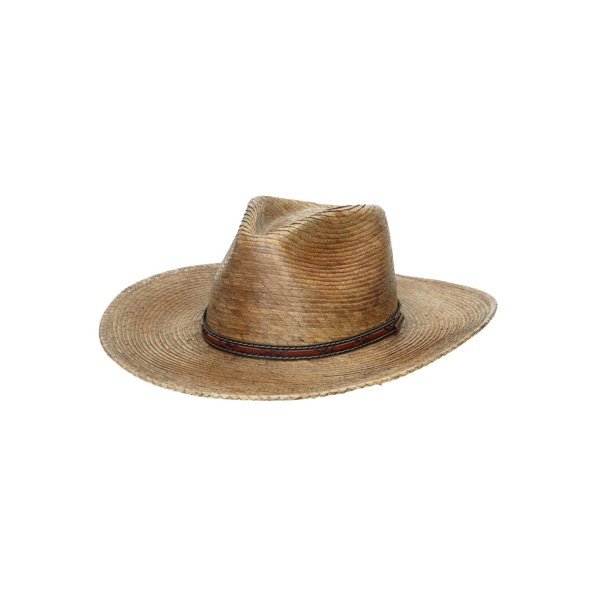 Western Mexican Palm beige brown