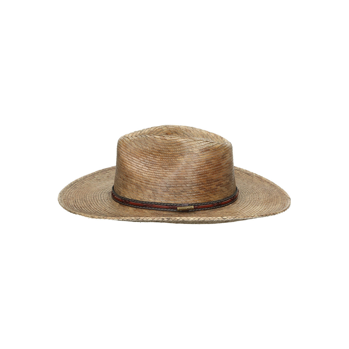 Western Mexican Palm beige brown