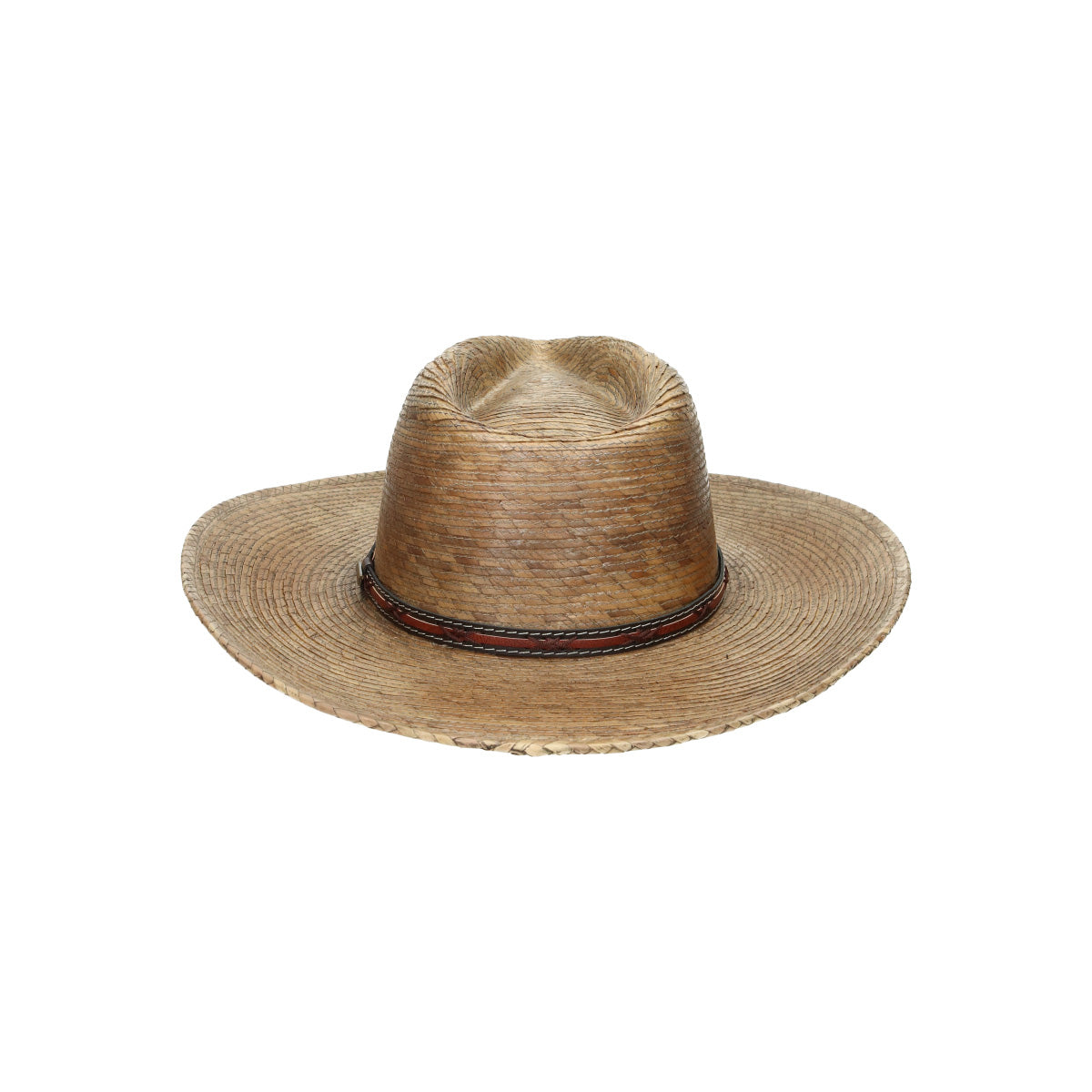 Western Mexican Palm beige brown