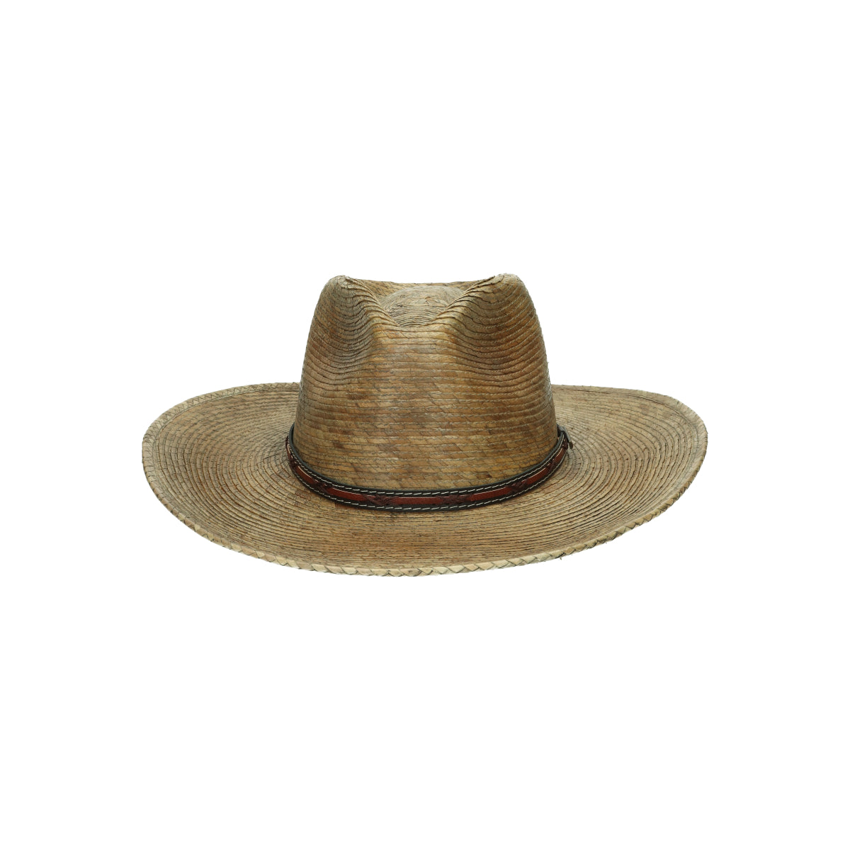 Western Mexican Palm beige brown