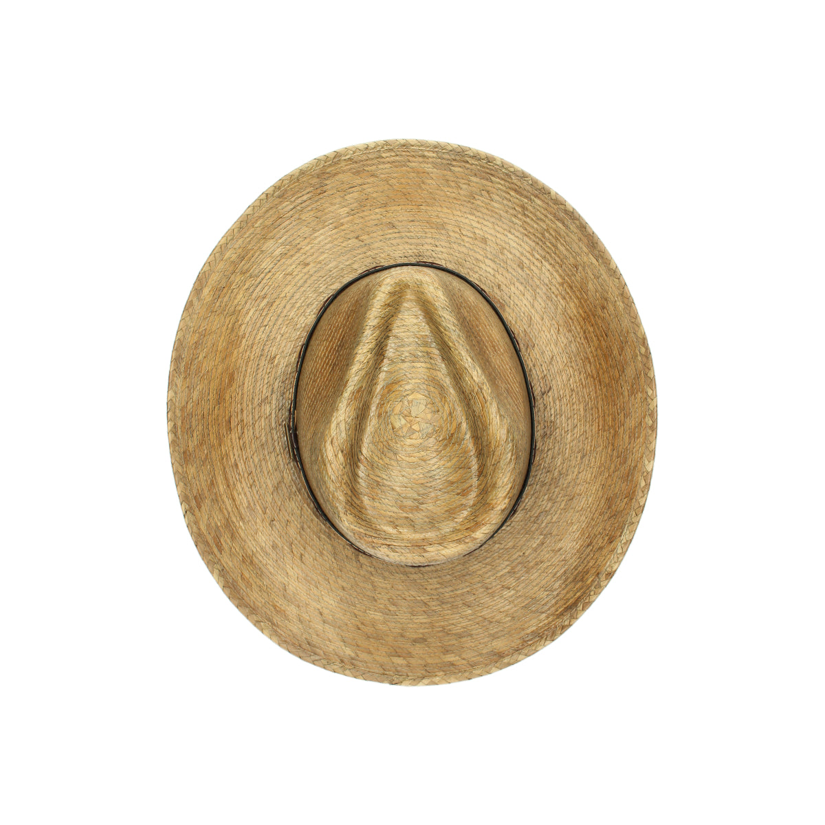 Western Mexican Palm beige brown