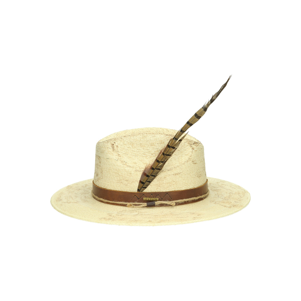 Outdoor Mexican Palm beige brown