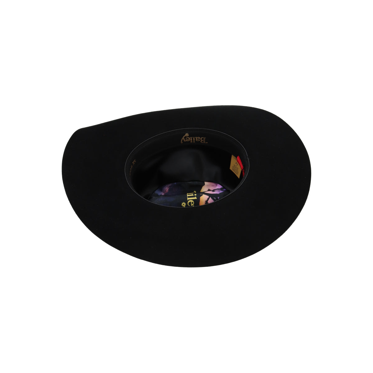 Luzerne black