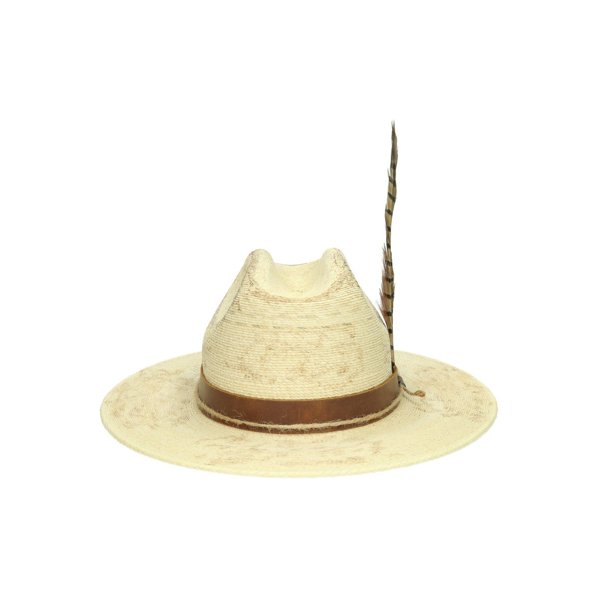 Outdoor Mexican Palm beige brown