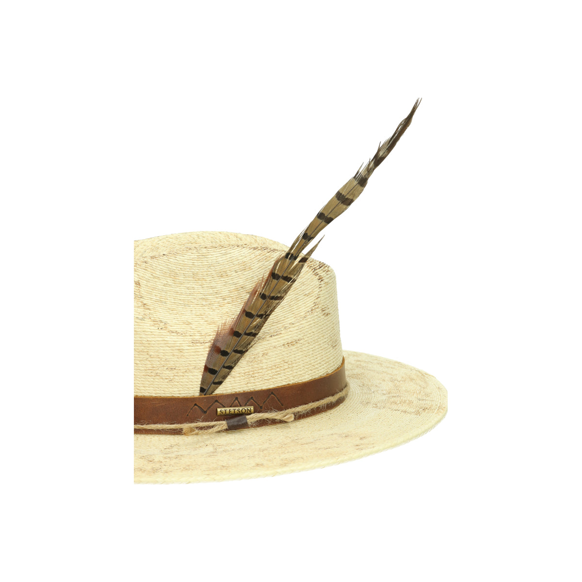 Outdoor Mexican Palm beige brown