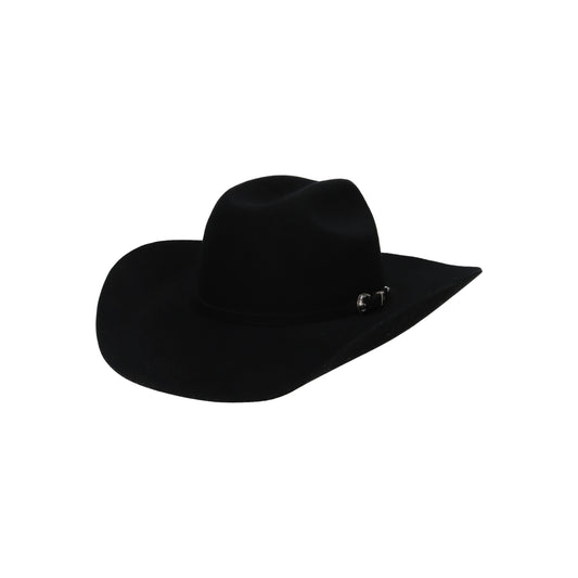 Alfalfa black